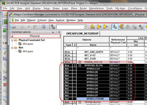 netgroup 6